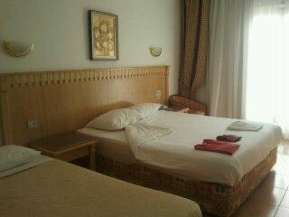 Unser Zimmer Beach Albatros Resort