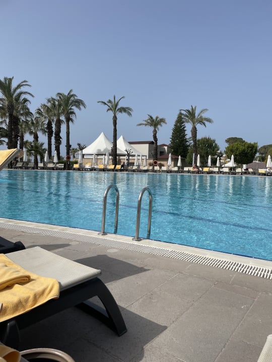 Pool Papillon Ayscha