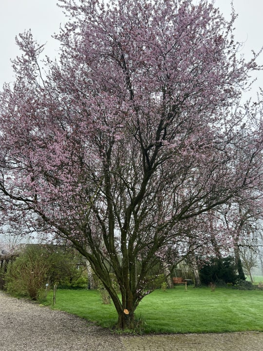 Gartenanlage Ferienhof Harms GbR