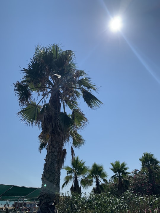 Gartenanlage VONRESORT Golden Beach