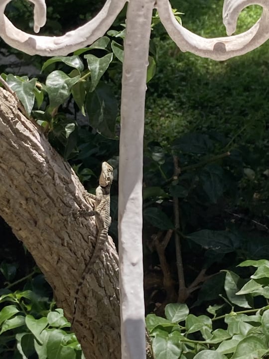 Gartenanlage Incekum Su Hotel