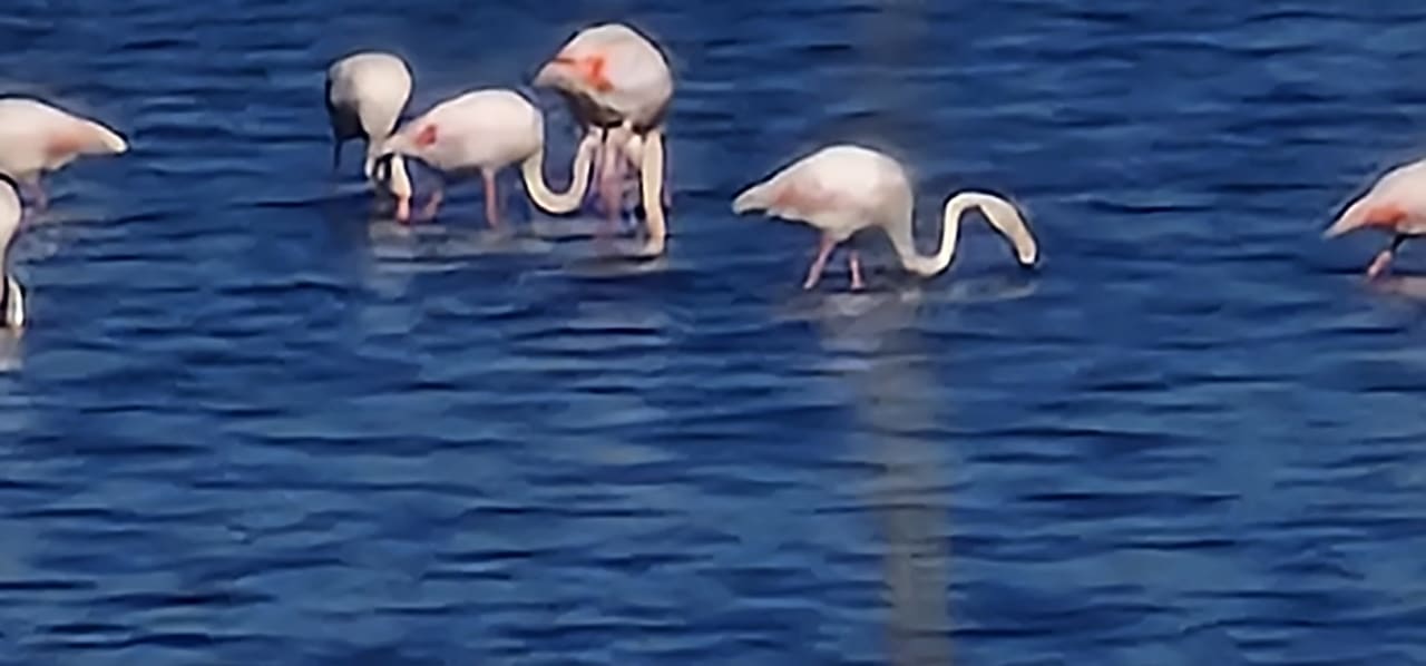 Sonstiges Sandy Beach Resort