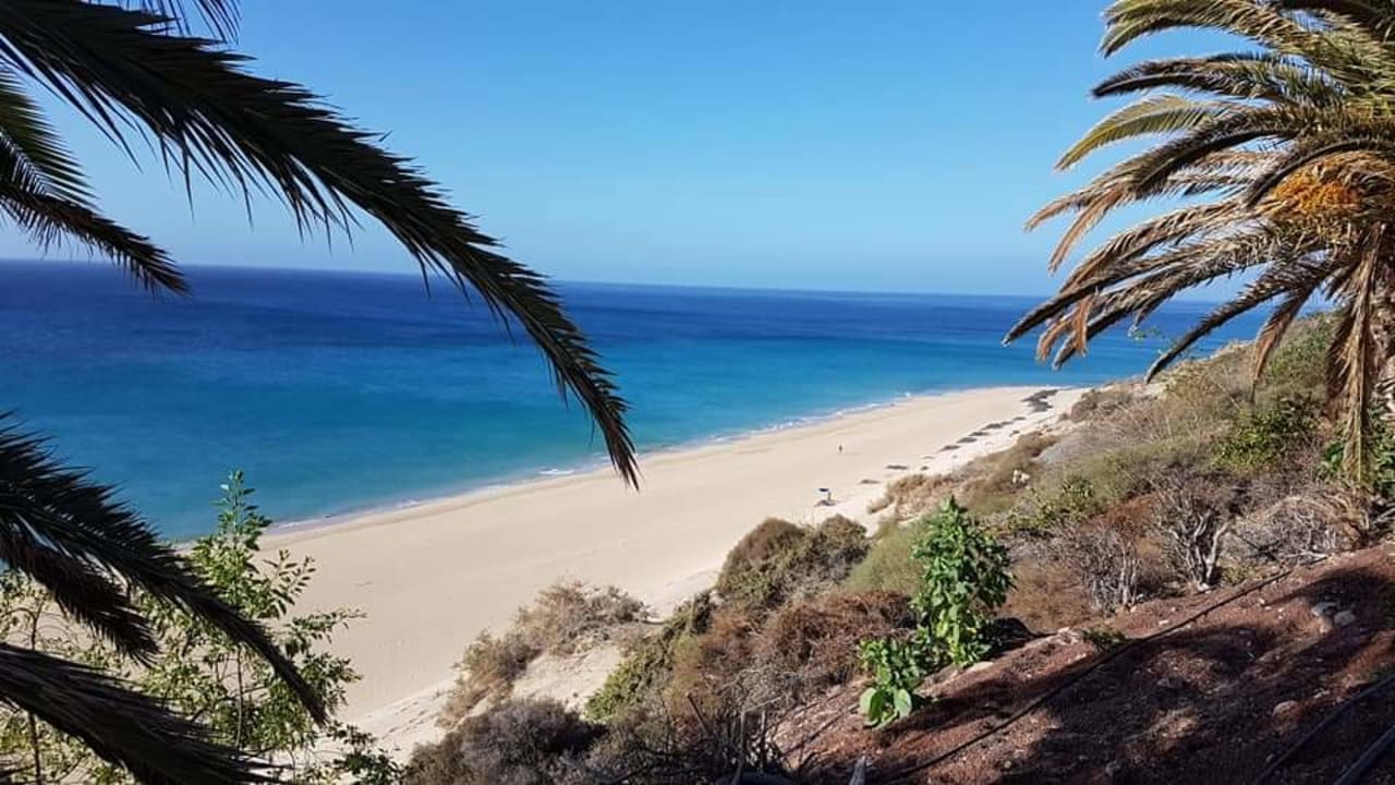 Ausblick SBH Club Paraiso Playa