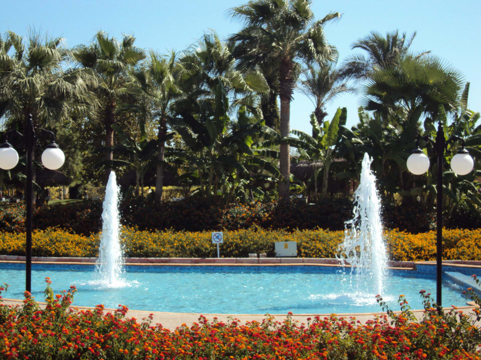 Miracle Hotel Miracle Resort