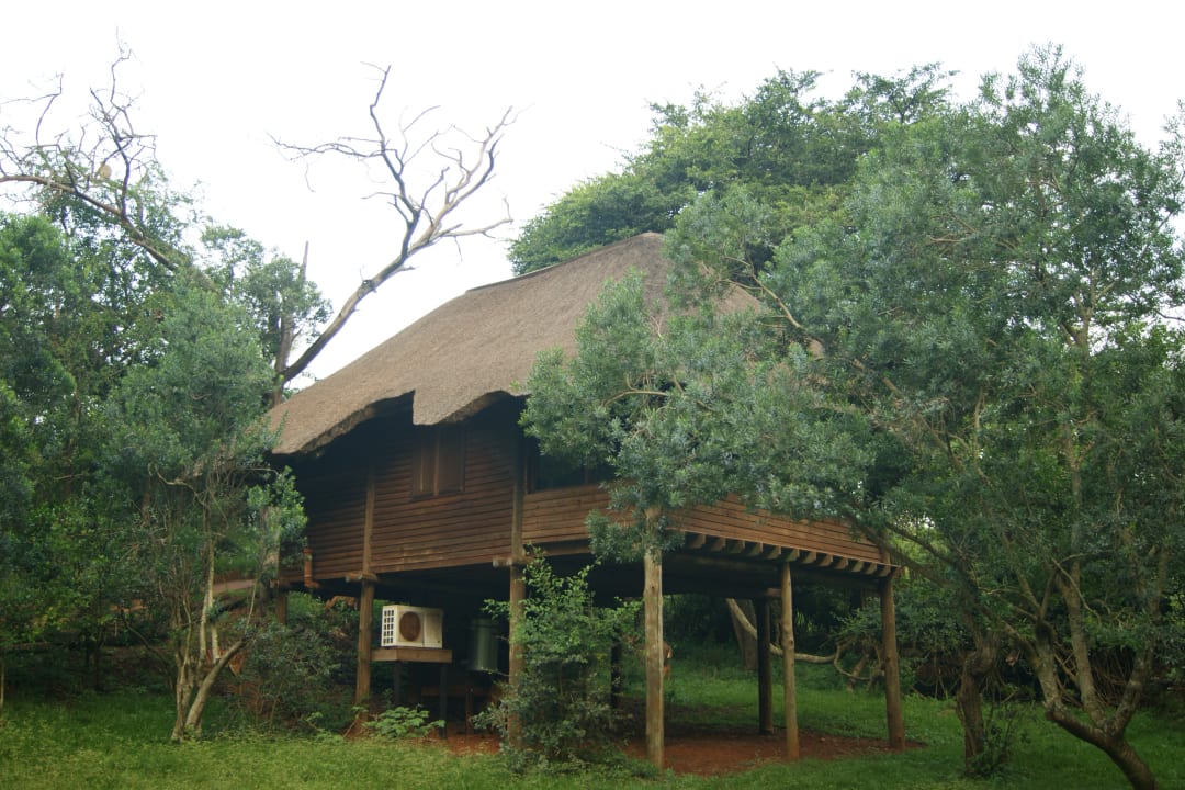 Außenansicht Ubizane Zululand Tree Lodge