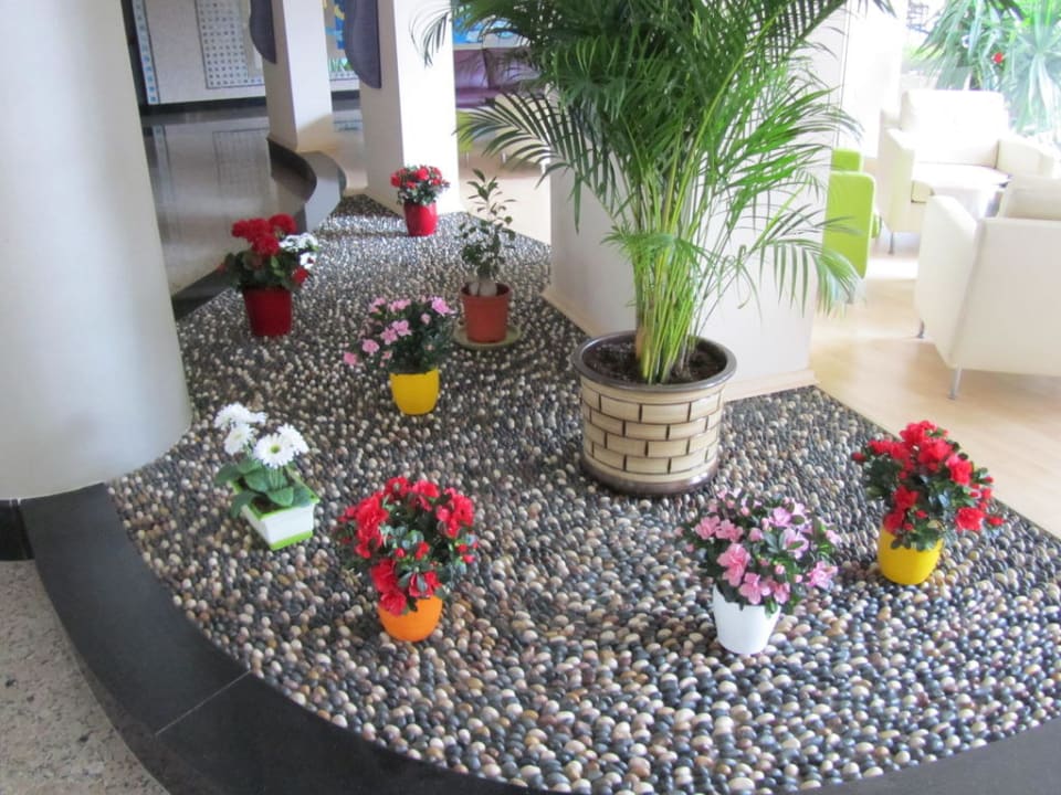 Lobby My Home Resort