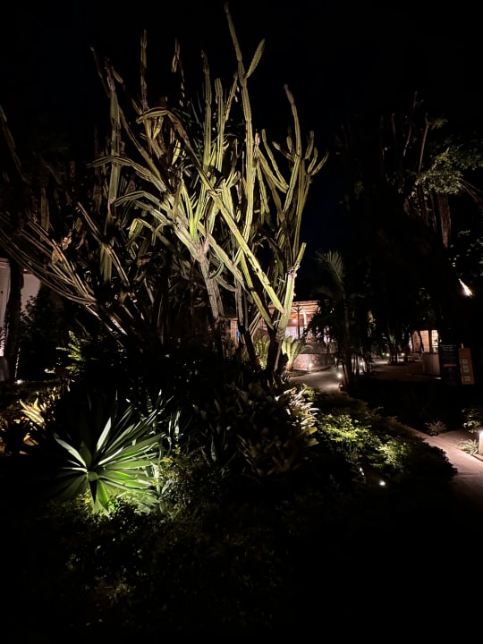 Gartenanlage Lagoon Attitude - Adults only