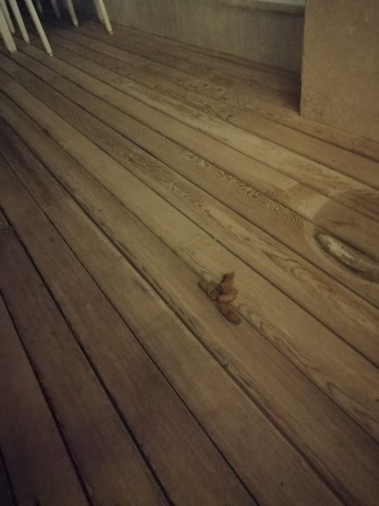 Gastro TUI BLUE Xanthe