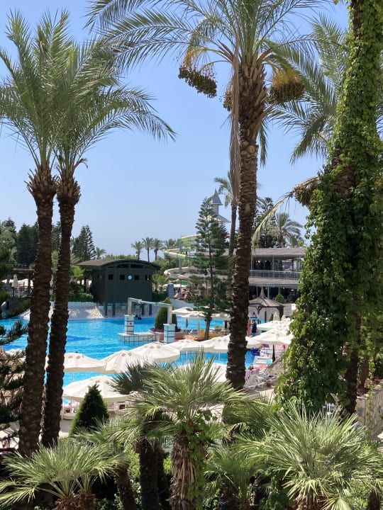 Pool Hotel Delphin Diva