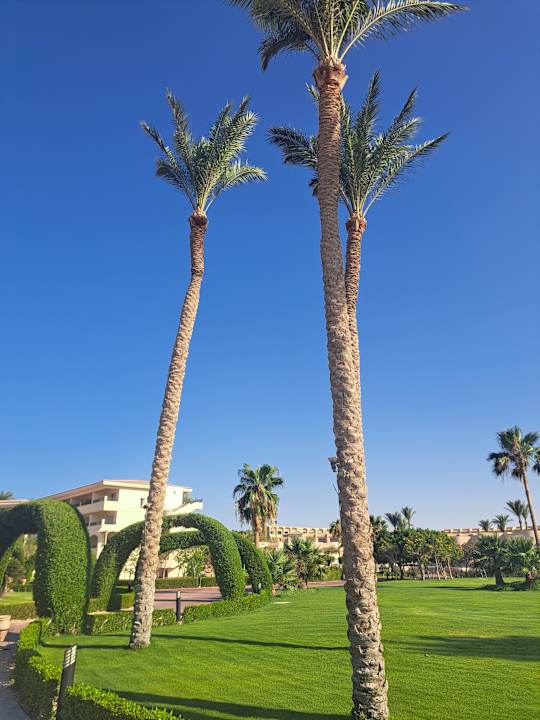 Gartenanlage Cleopatra Luxury Resort Makadi Bay