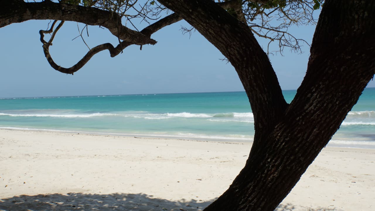 Strand Hotel Jacaranda Indian Ocean Beach Resort