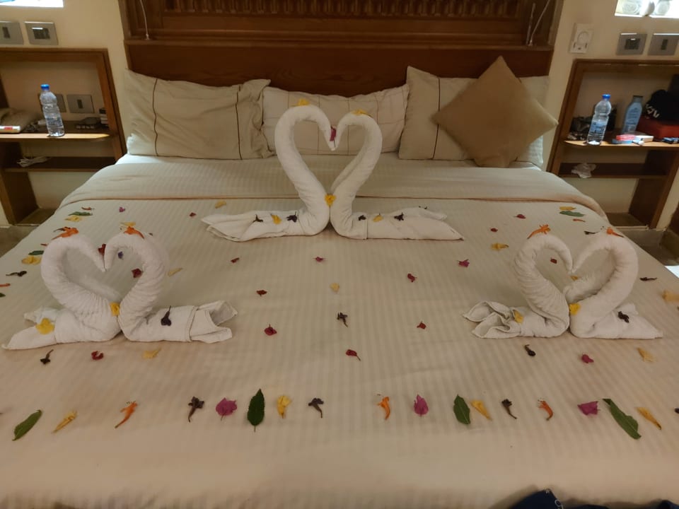 Zimmer Grand Waterworld Makadi & Family Star Makadi