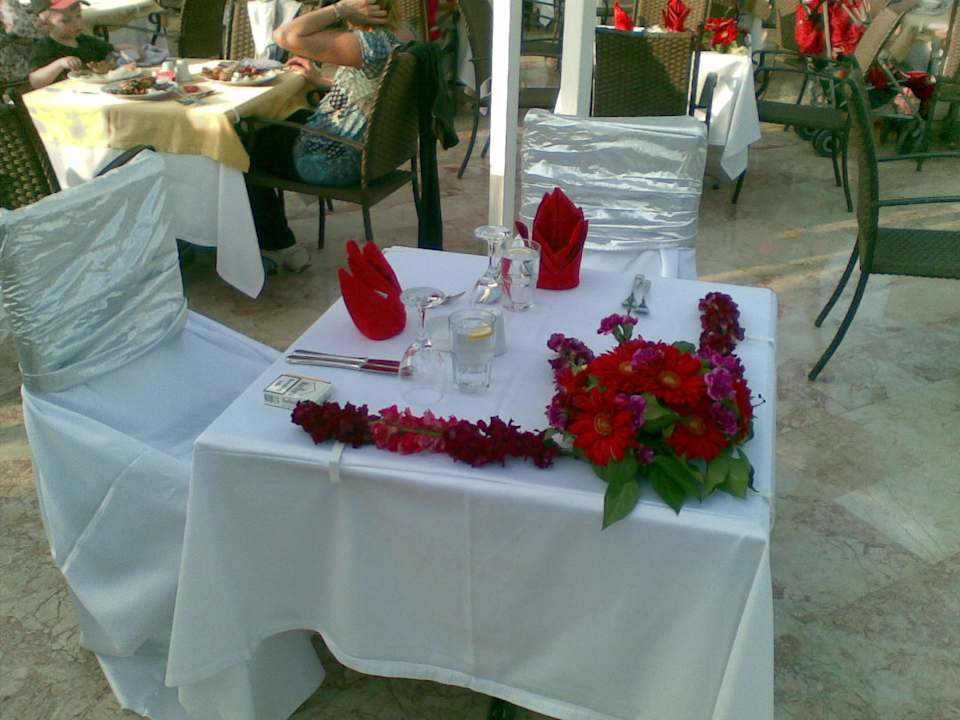 Was für eine Begrüßung Papillon Belvil