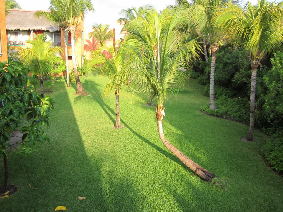 Blick vom Zimmer Catalonia Playa Maroma