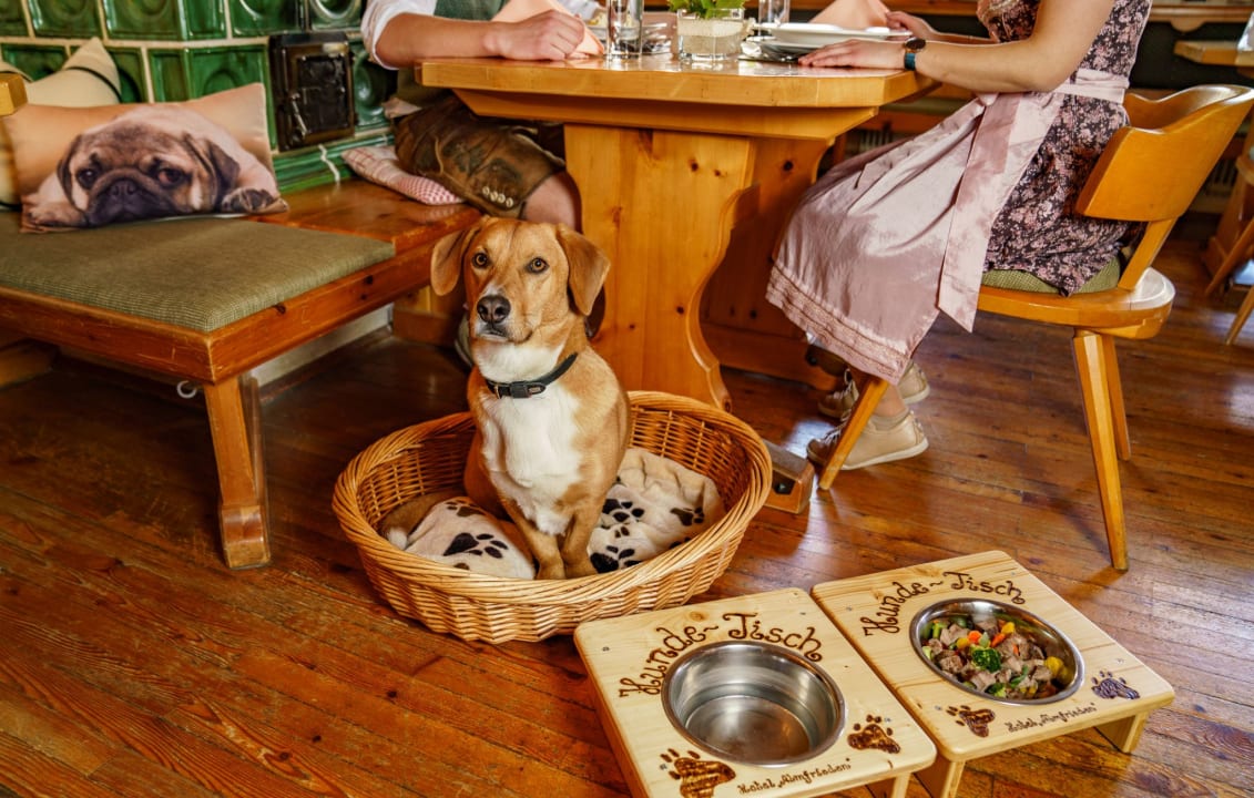 Gastro Almfrieden Hotel & Romantikchalet