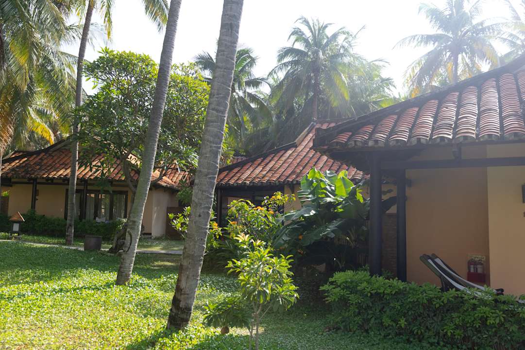 Gartenanlage Seahorse Resort & Spa