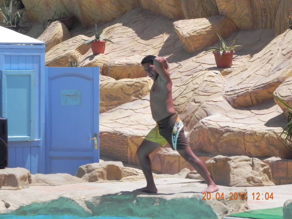 Der Checker bei der Wassergymnastik.  Pickalbatros Alf Leila Wa Leila Resort - Neverland Hurghada