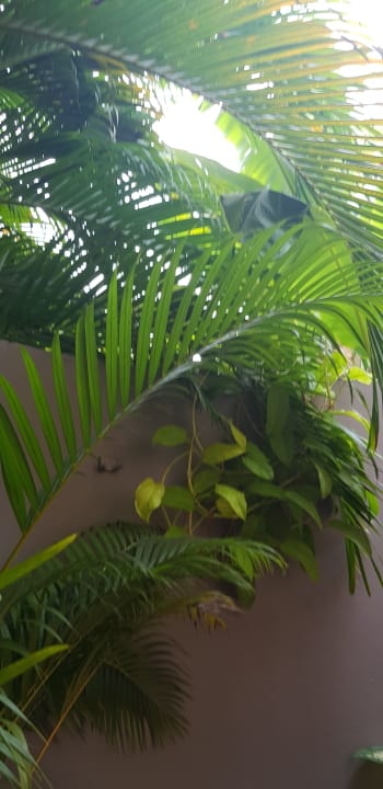 Zimmer Hotel The Secret Garden at Otres Beach