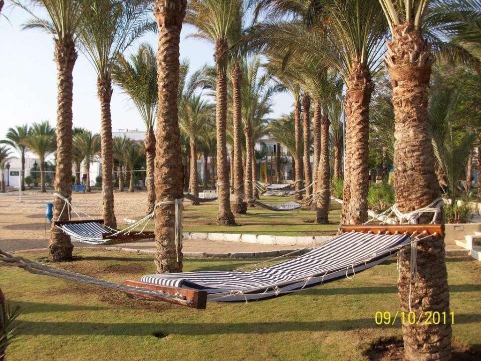 Hängematten direkt vor dem Strand The Grand Hotel Hurghada
