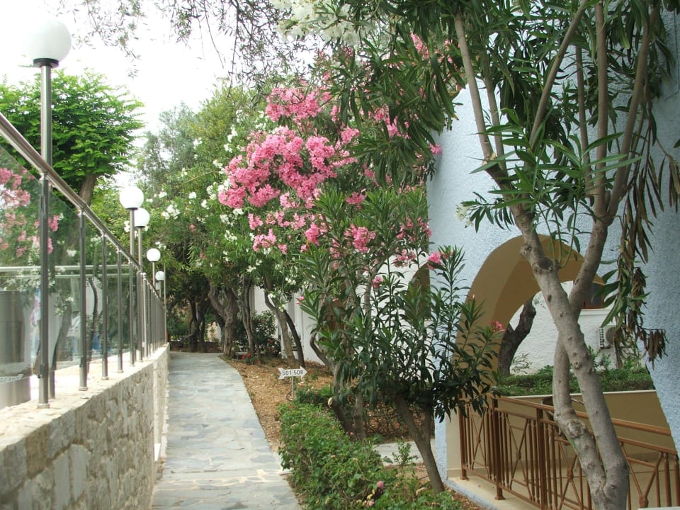 Ścieżka za basenem dla dzieci Sirios Village Hotel & Bungalows