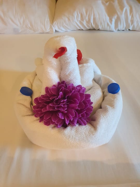 Zimmer PALOMA Perissia