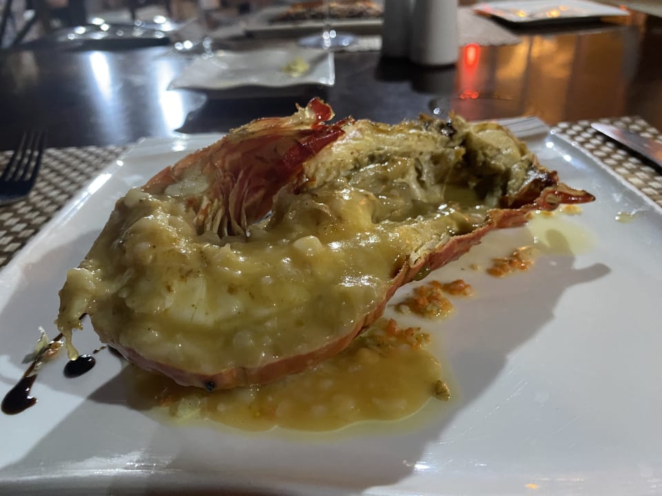 Gastro Paradisus Rio de Oro Resort & Spa - Adults only