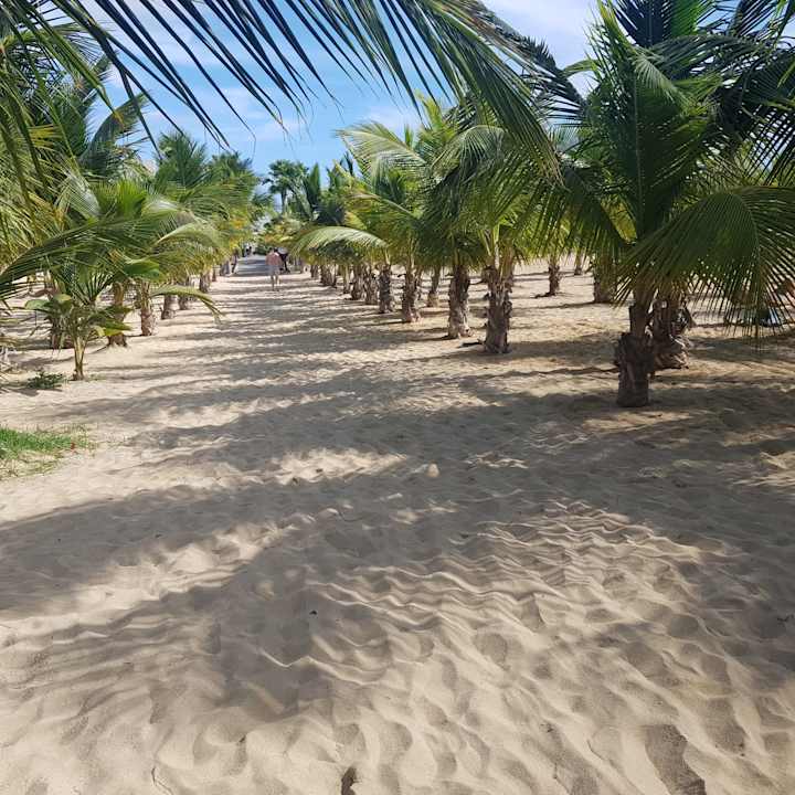Strand Hotel Riu Palace Santa Maria