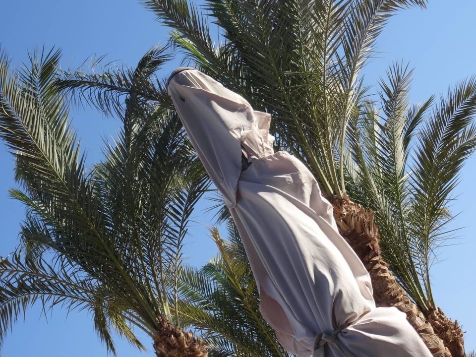 % Sterne Anlage kaputte Schirme Makadi Spa - Adults only