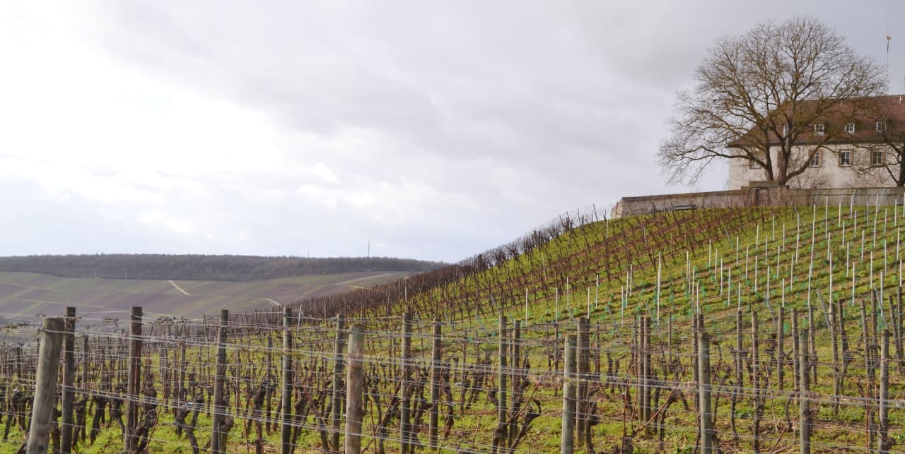 Maintal - Hotel Vogelsburg bei Volkach Ausblick Vogelsburg