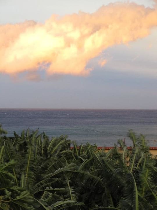 Blick über die Bananenplantage Finca Los Veroles