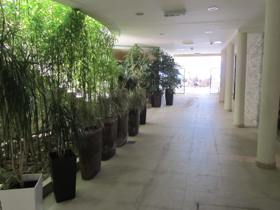 Weg zum Strand/Promenade Hotel Park