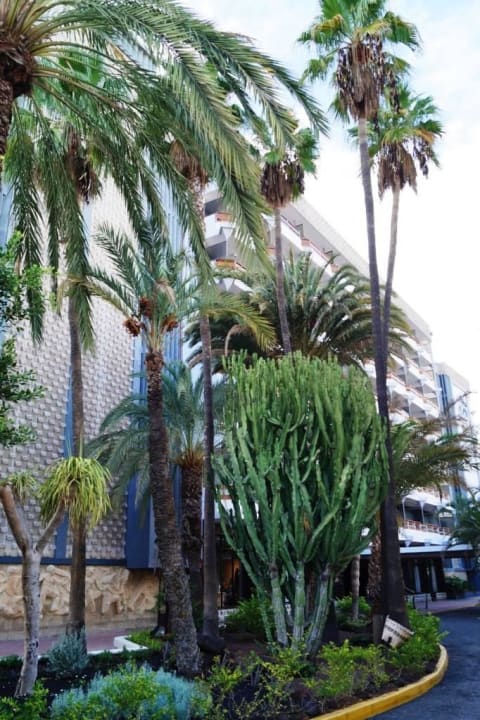 Vor dem Eingang Bull Escorial & Spa