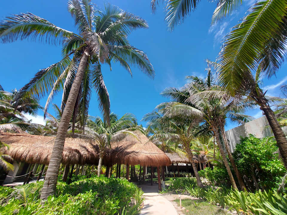 Gartenanlage Akumal Bay Beach & Wellness Resort
