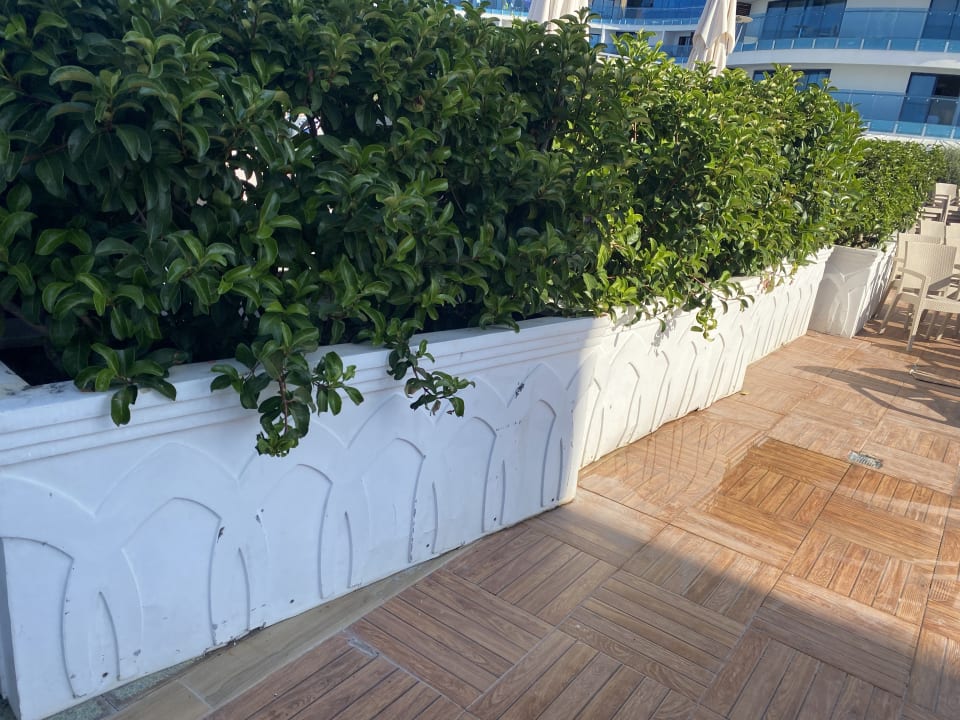 Gartenanlage Granada Luxury Okurcalar