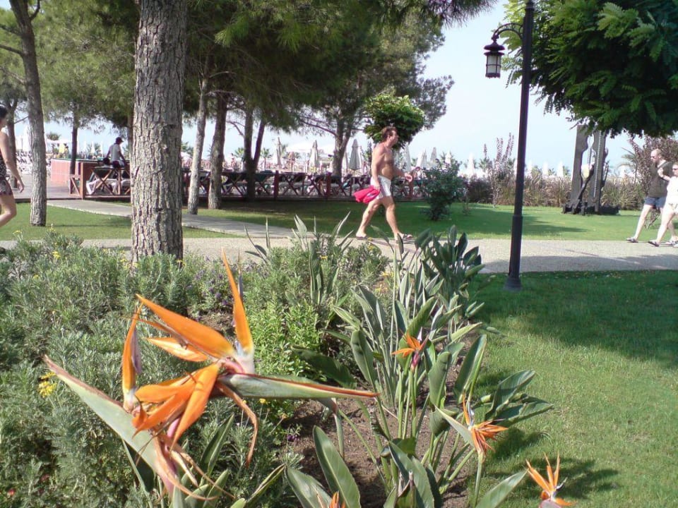 Grünanlage Voyage Belek Golf & Spa