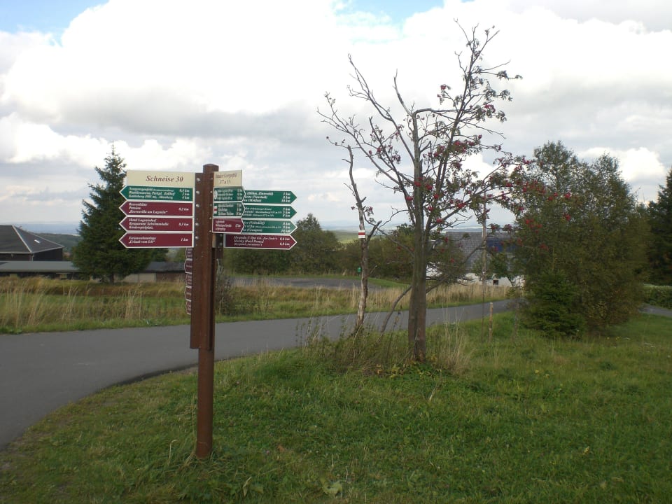 Schöne Wanderwege Hotel Lugsteinhof
