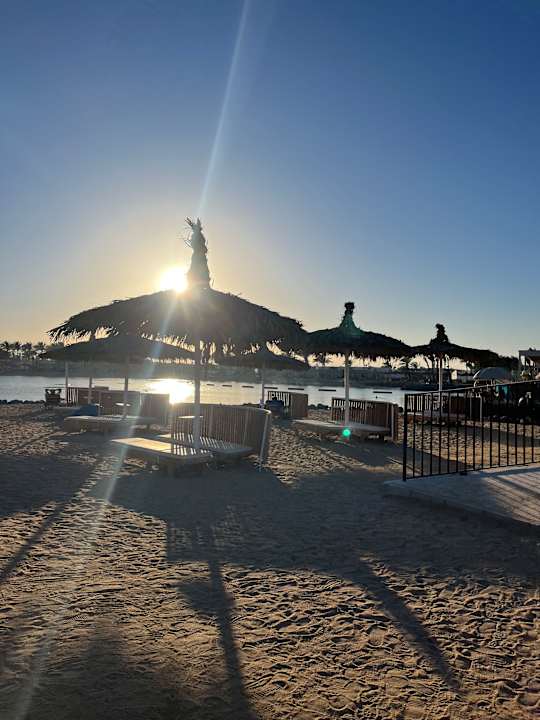 Ausblick Desert Rose