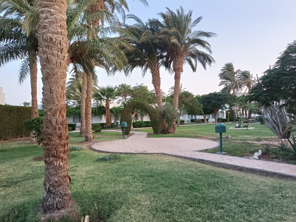 Gartenanlage Shams Safaga Resort