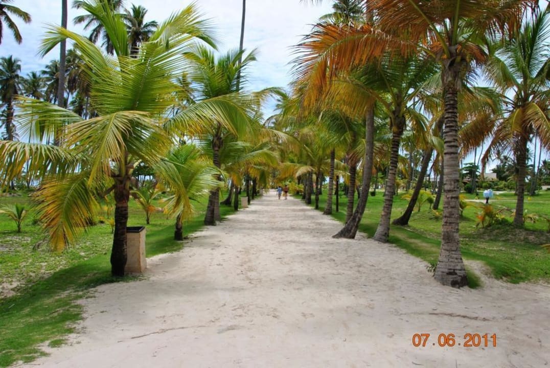 Weg zum Strand Villas Bavaro Resort & Spa