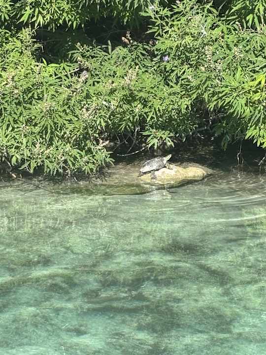 Sport & Freizeit HARPIN Georgioupolis Resort Aquapark & SPA