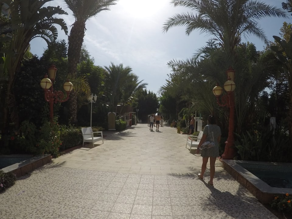 Gartenanlage Hotel Delphin Imperial