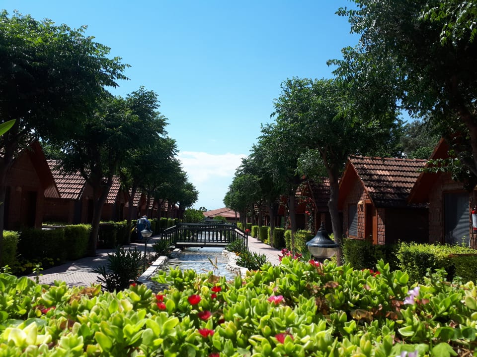 Gartenanlage Can Garden Beach