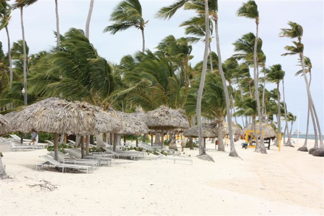 Royalbereich Catalonia Punta Cana - All Inclusive