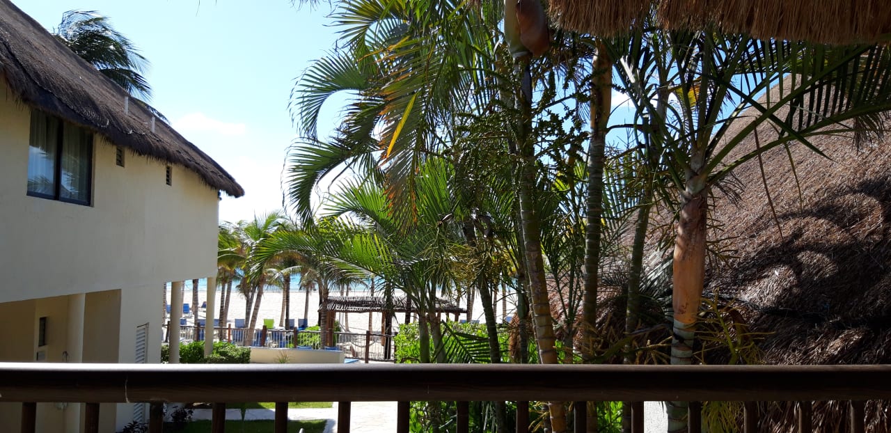 Ausblick Allegro Playacar