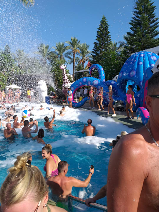 Pool Hotel Delphin Diva