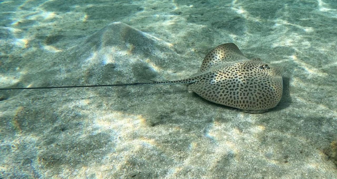 Strand Three Corners Equinox Beach Resort