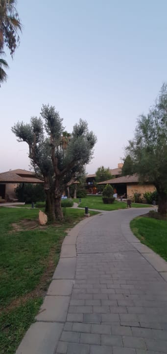 Gartenanlage PortBlue Club Pollentia Resort & Spa