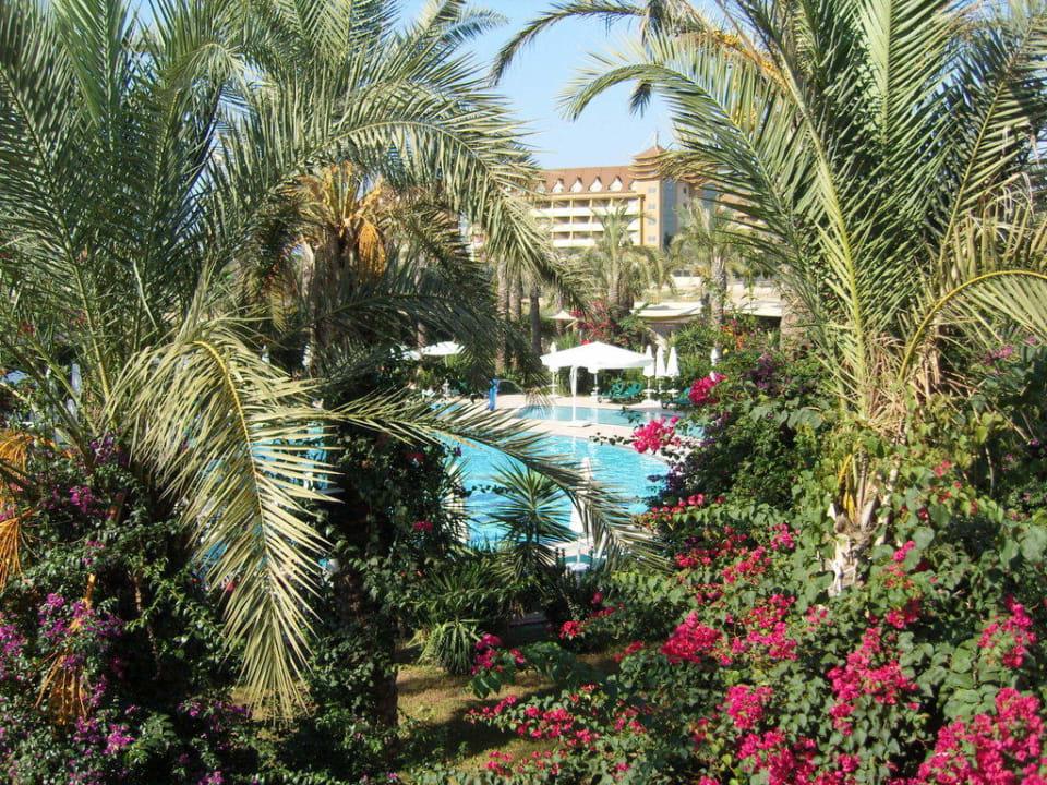 Blick von der Lobbyterrasse Calimera Hane Garden