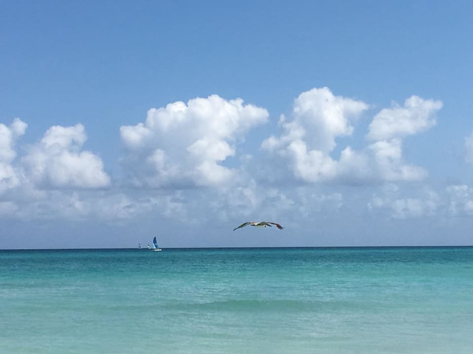 Am Strand Blau varadero - Adults only