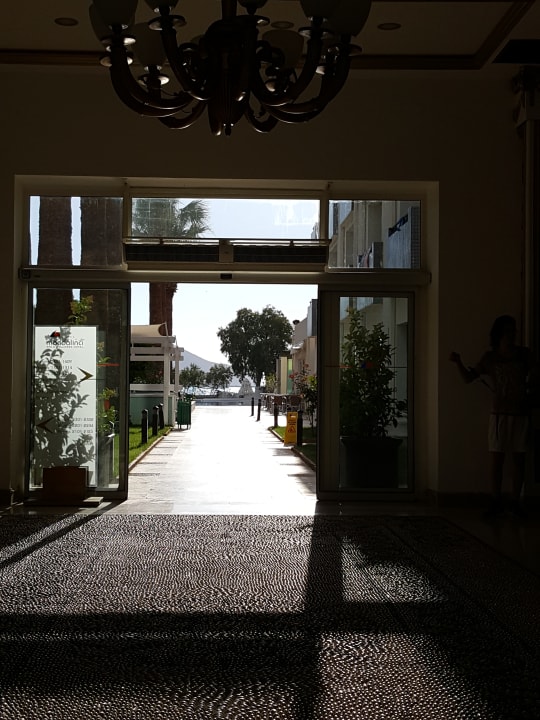 Lobby Solana by Yelken